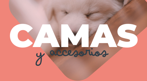 camas y accesorios para cachorros